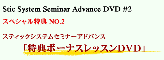 Stic System Seminar Advance DVD #2 @XyVTNO.2@XeBbNVXeZ~i[AhoXuT{[iXbXDVDv
