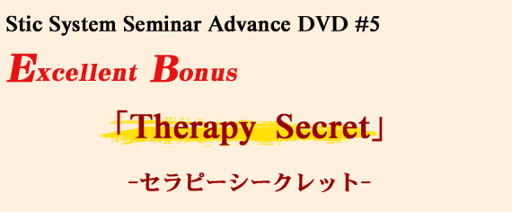 Stic System Seminar Advance DVD #5@Excellent  Bonus  uTherapy  Secretv@|Zs[V[Nbg|