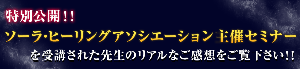 感想動画